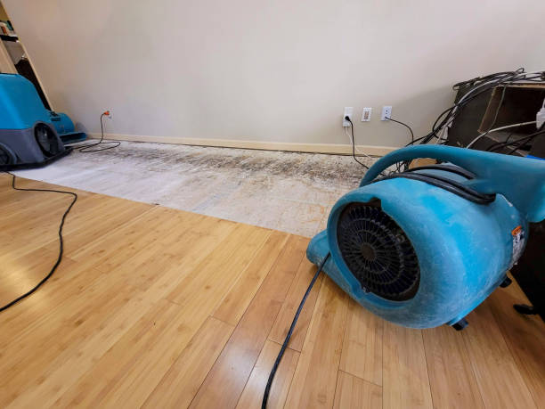 Professional Water Damage Repair technician working in Slidell, LA